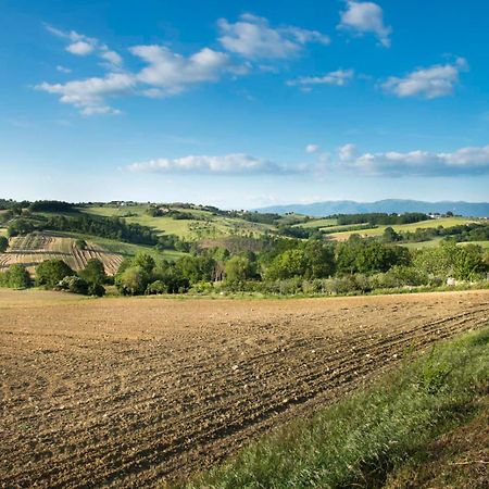 Agriturismo Piano Grande Avigliano Umbro Dış mekan fotoğraf
