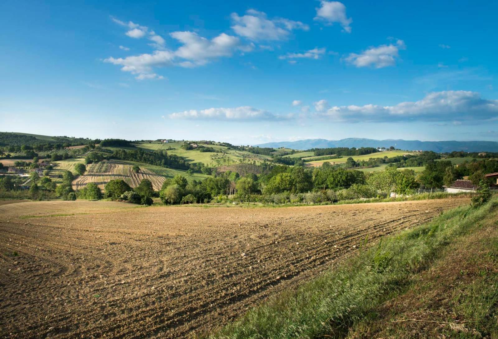 Agriturismo Piano Grande Avigliano Umbro Dış mekan fotoğraf