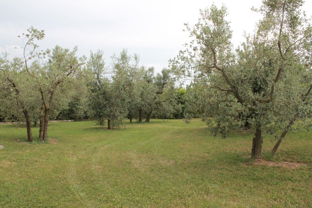 Agriturismo Piano Grande Avigliano Umbro Oda fotoğraf
